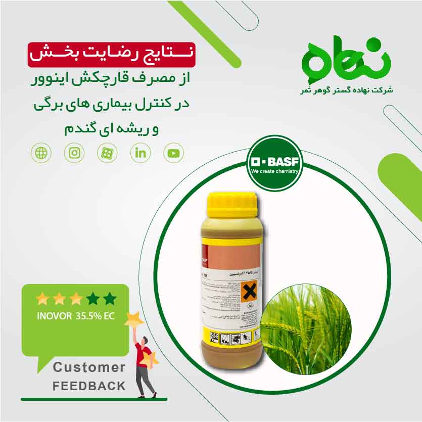  نتایج رضایت بخش از مصرف قارچکش اینوور در کنترل بیماری های برگی و ریشه ای گندم